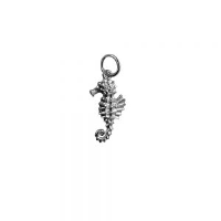 Silver 19x10mm Seahorse Pendant or Charm