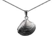 Silver 20mm Sea Shell Locket with a pearl inside on a bail loop with a 1.3mm wide curb Chain 24 inches