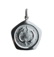 Silver 21mm five sided pentagon Pisces Zodiac Pendant