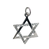 Silver 21x17mm diamond cut Star of David Pendant