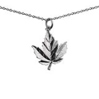 Silver 22x19mm solid Maple Leaf Pendant with a 1mm wide rolo Chain 22 inches