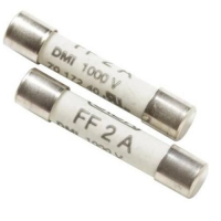 Amprobe FP200 2A 1000V Fuse (Pack of 2)