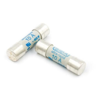 Amprobe FP400 TDC600 10A DMM Fuse (Pack of 4)