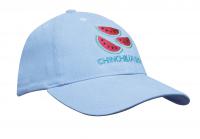Heavy Brushed Cotton Cap   Youth Size E1014504