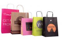 Twisted Paper Handle Carrier Bag E1010509