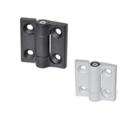 Hinges with adjustable  friction