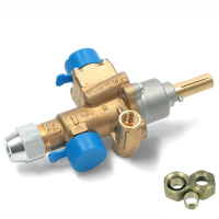 22S/V PEL 791804 GAS CONTROL VALVE - Yes