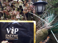 VIP Enzymes Single Sachet
