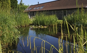 Small Garden Pond Liners