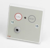 Standard call point with braille label, button