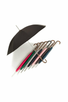 Ladies City Slim Ince Umbrellas with an Italian Chestnut Handle - Classic colours - Kingfisher
