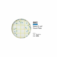 3M Petrifilm Select E coli Plates 20 pks 25 plates pk 500
