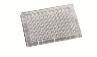 Solid Clear Assay Plates