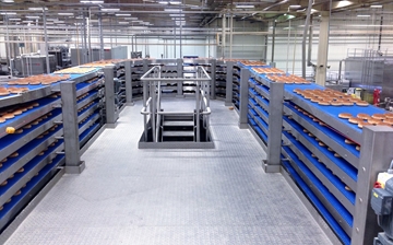 Hygienic Conveyors For Food Industry