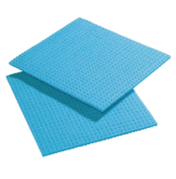 Spontex Spongyl Blue (Pack Of 10) (F957)