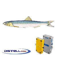  Fatmeter Calibration Setting For Anchovy (South African)