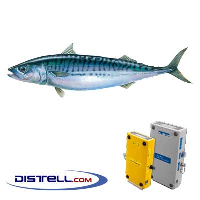  Fatmeter Calibration Setting For Mackerel - Blue Mackerel (Atlantic/North Sea)