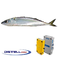  Fatmeter Calibration Setting For Mackerel - Chub Mackerel (Pacific, Asiatic)