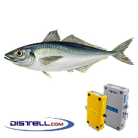  Fatmeter Calibration Setting For Mackerel - Horse Mackerel, (Atlantic/North Sea)