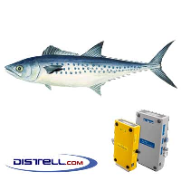  Fatmeter Calibration Setting For Mackerel - West African (Atlantic/Mediterranean)