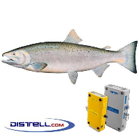  Fatmeter Calibration Setting For Pacific Salmon (Oncorhynchus Kisutch)