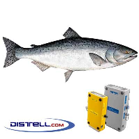  Fatmeter Calibration Setting For Pacific Salmon (Oncorhynchus Tshawytscha)