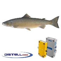  Fatmeter Calibration Setting For Salmon (Atlantic Salmon)