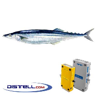  Fatmeter Calibration Setting For Saury (Pacific)