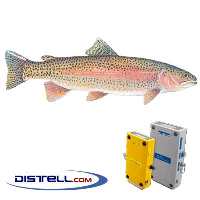  Fatmeter Calibration Setting For Trout (Rainbow Trout)