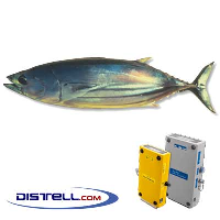  Fatmeter Calibration Setting For Tuna - Skipjack (Atlantic, Pacific, Mediterranean)