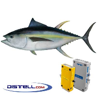  Fatmeter Calibration Setting For Tuna - Yellowfin (Atlantic, Pacific, Mediterranean)