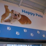 Indoor Wall Graphics For Retail Applications