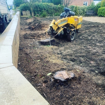 Stump Grinding Services Lincolnshire 