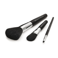 Set of 3 Make Up Brushes