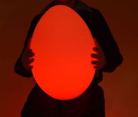 Colour Change LED Egg