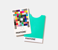 Pantone Color Match Card (25 Units)
