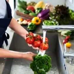 Affordable Food Safety Online Courses