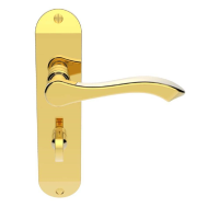 Carlisle Brass Andros Door Handle on Bathroom Plate Polished Brass