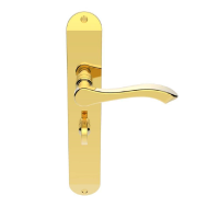 Carlisle Brass Andros Door Handle on Long Bathroom Plate Polished Brass