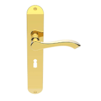 Carlisle Brass Andros Door Handle on Long Lock Plate Polished Brass