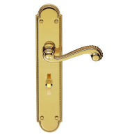 Carlisle Brass Chesham Door Handle on Long Bathroom Plate Polished Brass