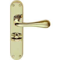 Carlisle Brass Designer Range Astro Door Handle on Bathroom Plate Polished Brass