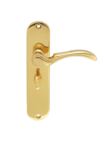 Carlisle Brass Designer Range Bona Door Handle on Bathroom Plate Polished Brass