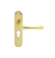 Carlisle Brass Designer Range Ibra Door Handle on Euro Plate Polished Brass