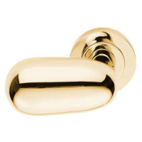 Carlisle Brass Designer Range Uovo Door Handle on Rose Polished Brass