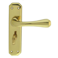 Carlisle Brass Eden Door Handle on Bathroom Plate Polished Brass