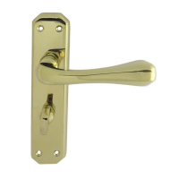 Carlisle Brass Eden Door Handle On Bathroom Plate PVD Stainless Brass