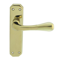 Carlisle Brass Eden Door Handle On Latch Plate PVD Stainless Brass