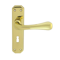 Carlisle Brass Eden Door Handle on Lock Plate Polished Brass