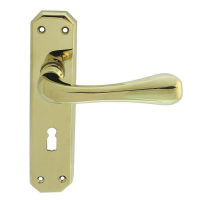 Carlisle Brass Eden Door Handle On Lock Plate PVD Stainless Brass